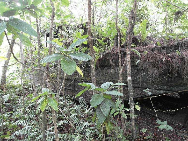 AHigginsboat.jpg