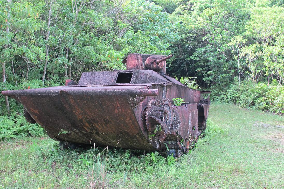 LVT1.jpg