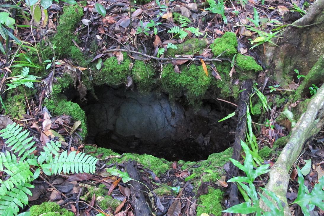 Andthisspiderhole.jpg