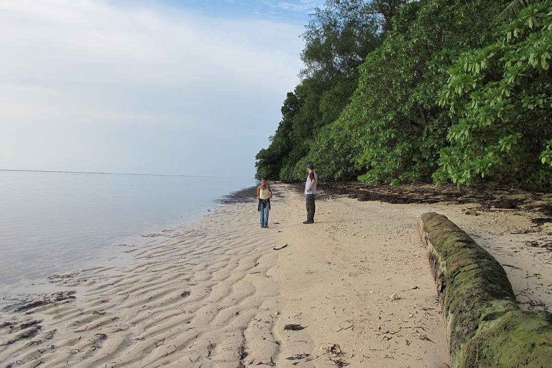 Lookingno..gebeach.jpg