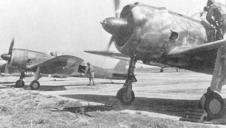 Ki4335.jpg