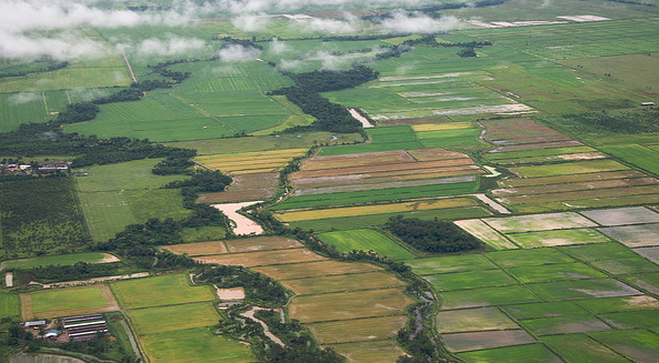 farmland.jpg