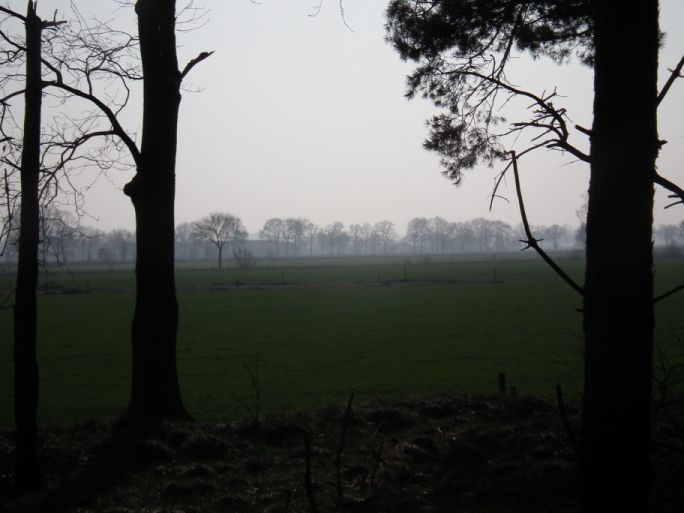 Viewfromwoods.jpg