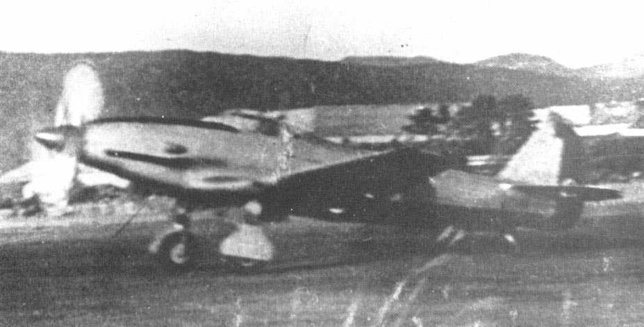 mysteryplane3.jpg