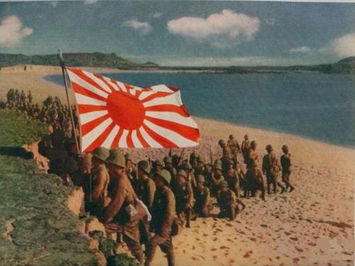 ijnflag.jpg