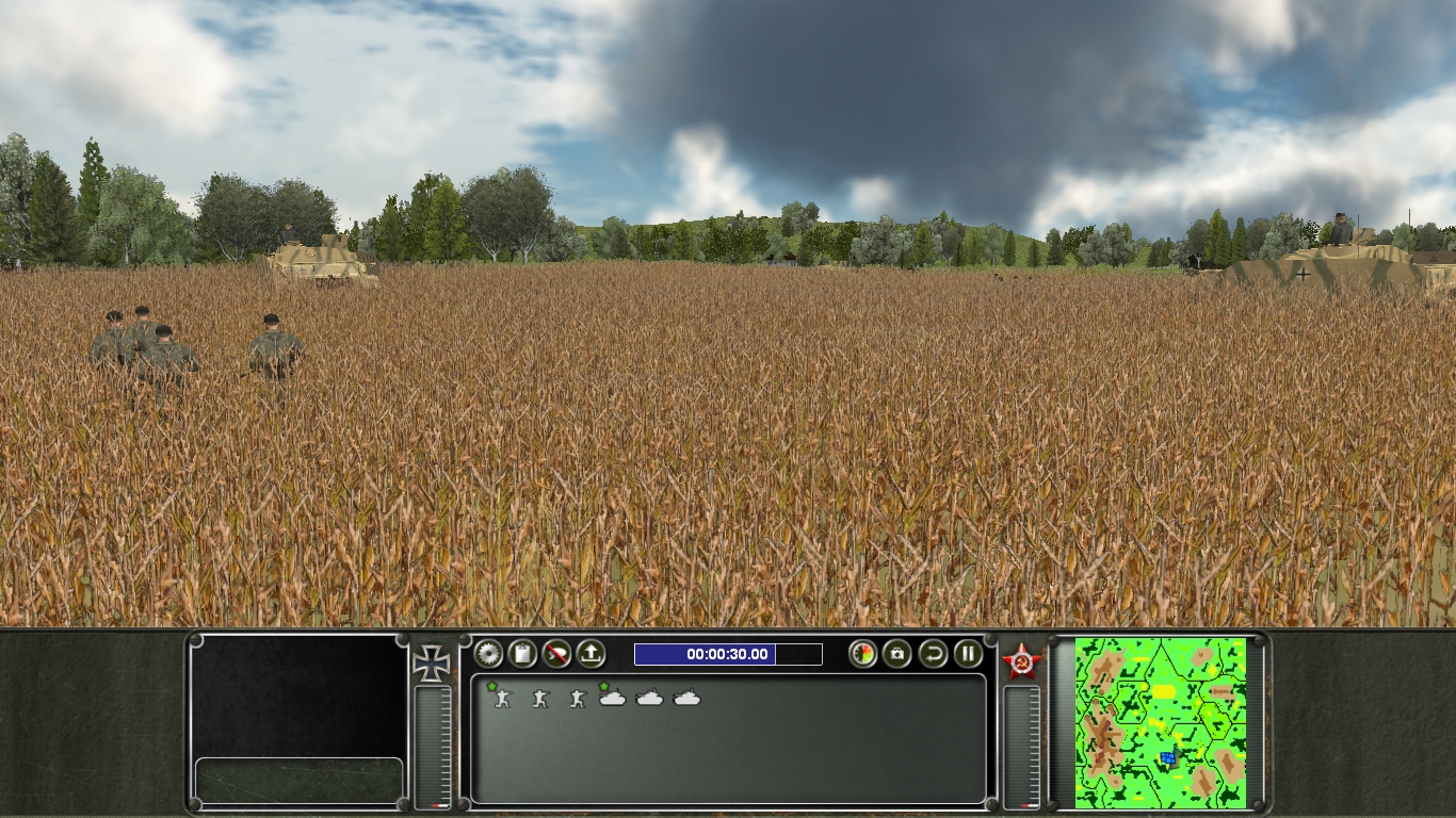 cornfield2.jpg
