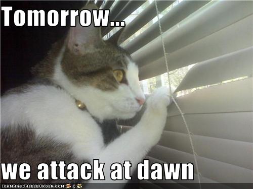 attackatdawn.jpg