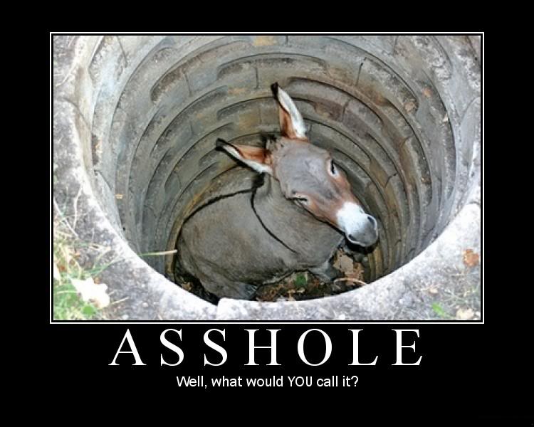 Asshole.jpg