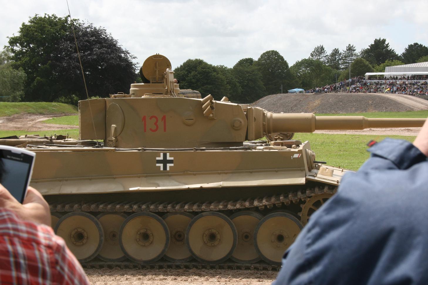 tiger131.jpg