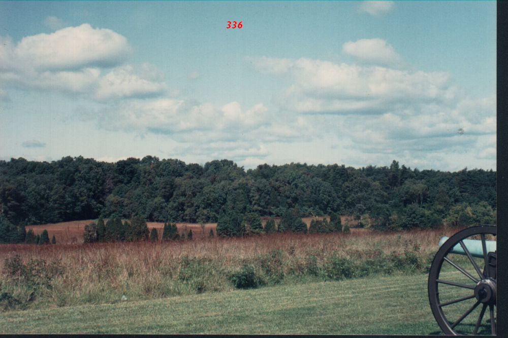 b1.jpg