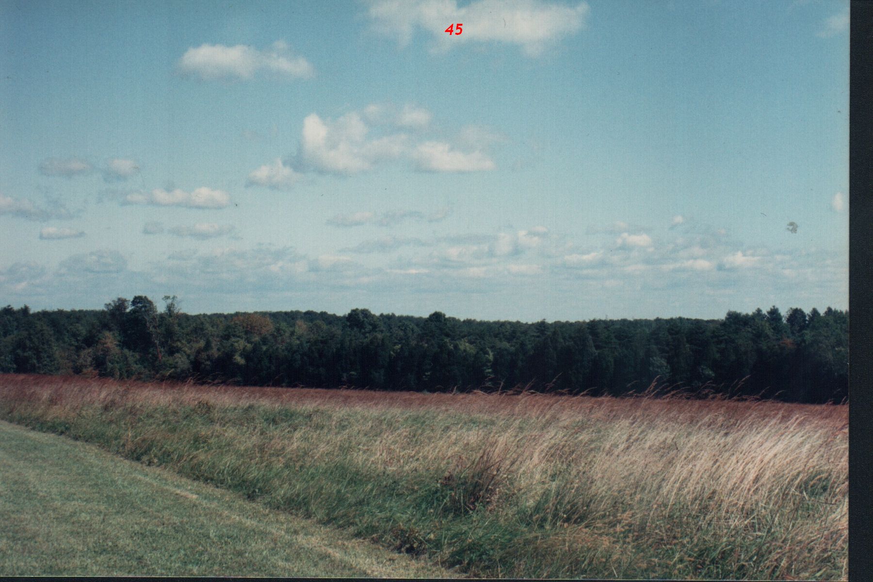 b3.jpg