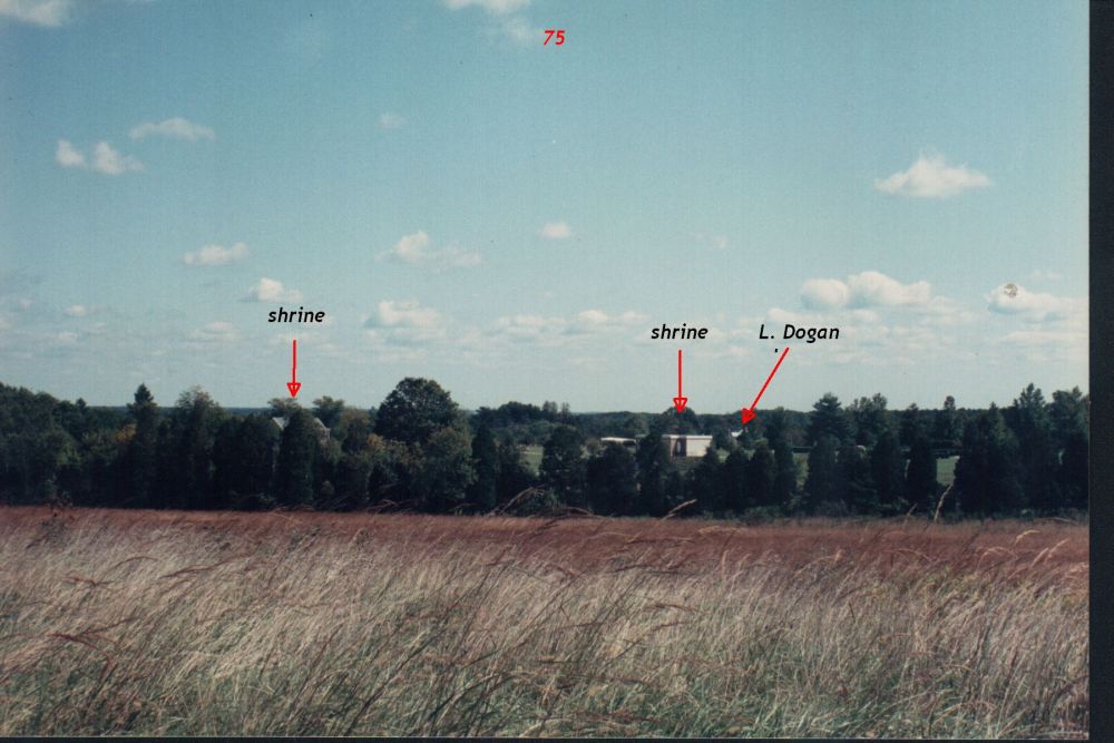 b4.jpg