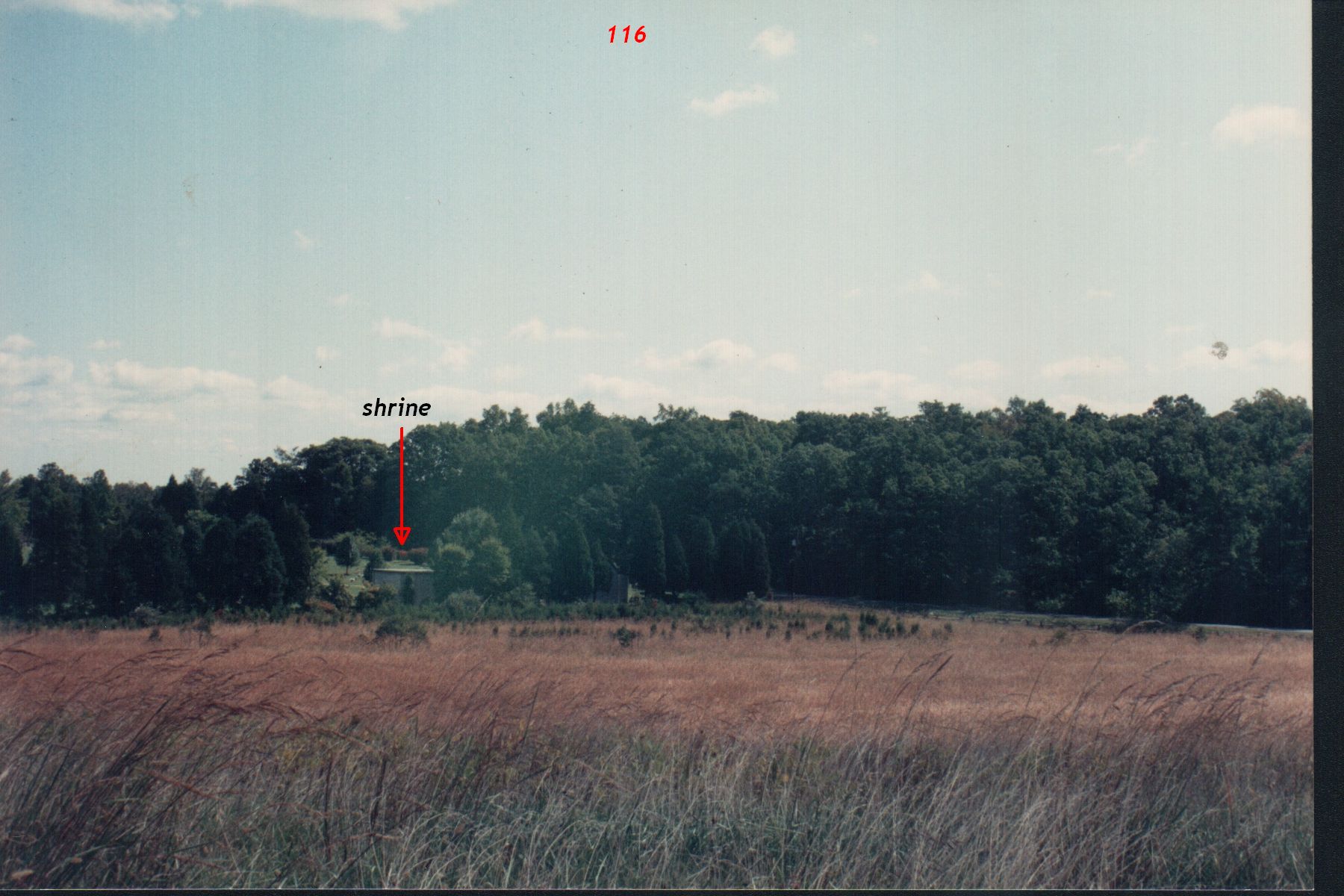 b5.jpg
