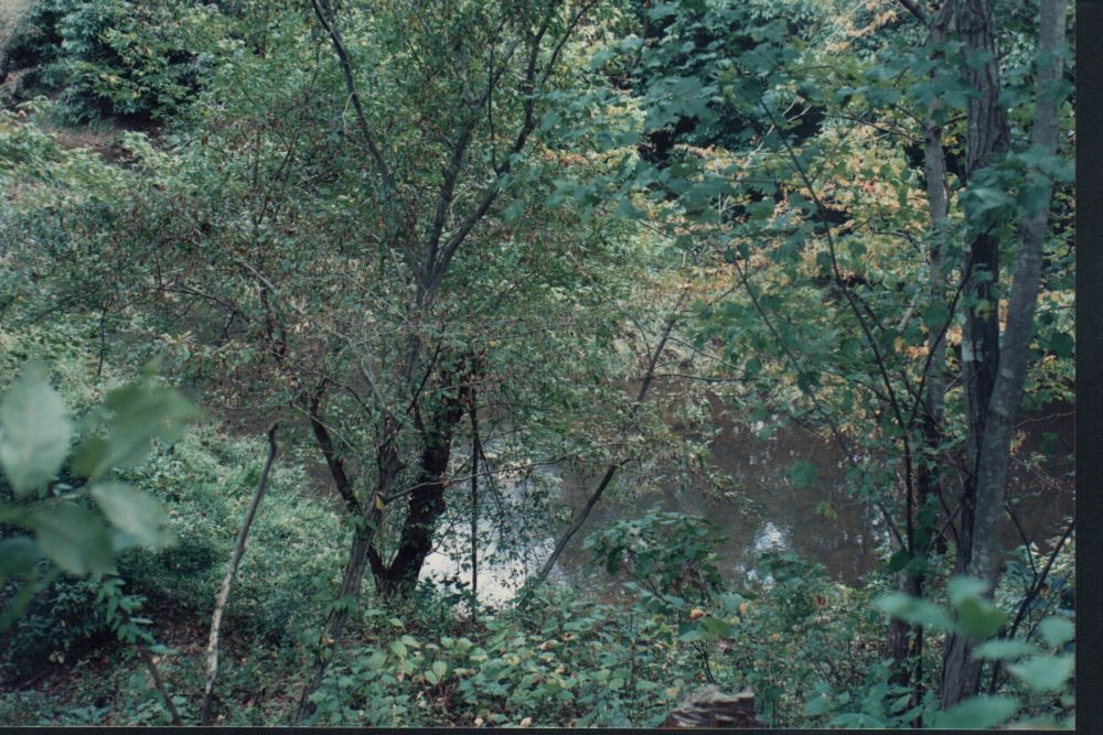b8.jpg