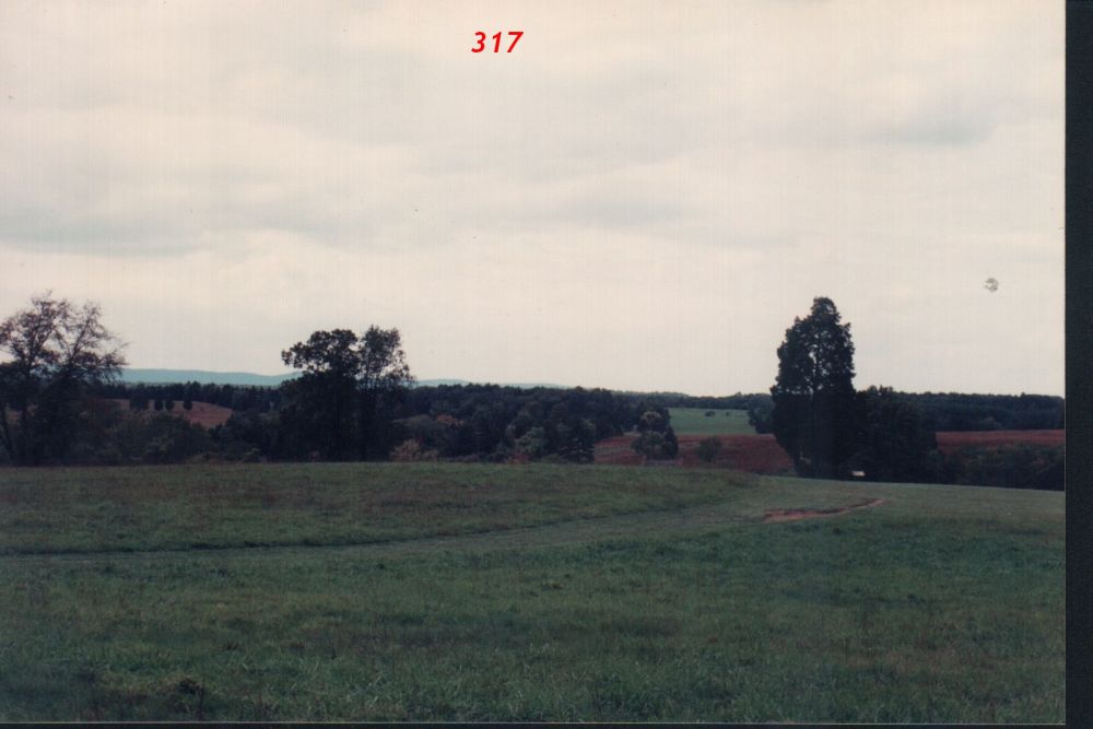 c6.jpg