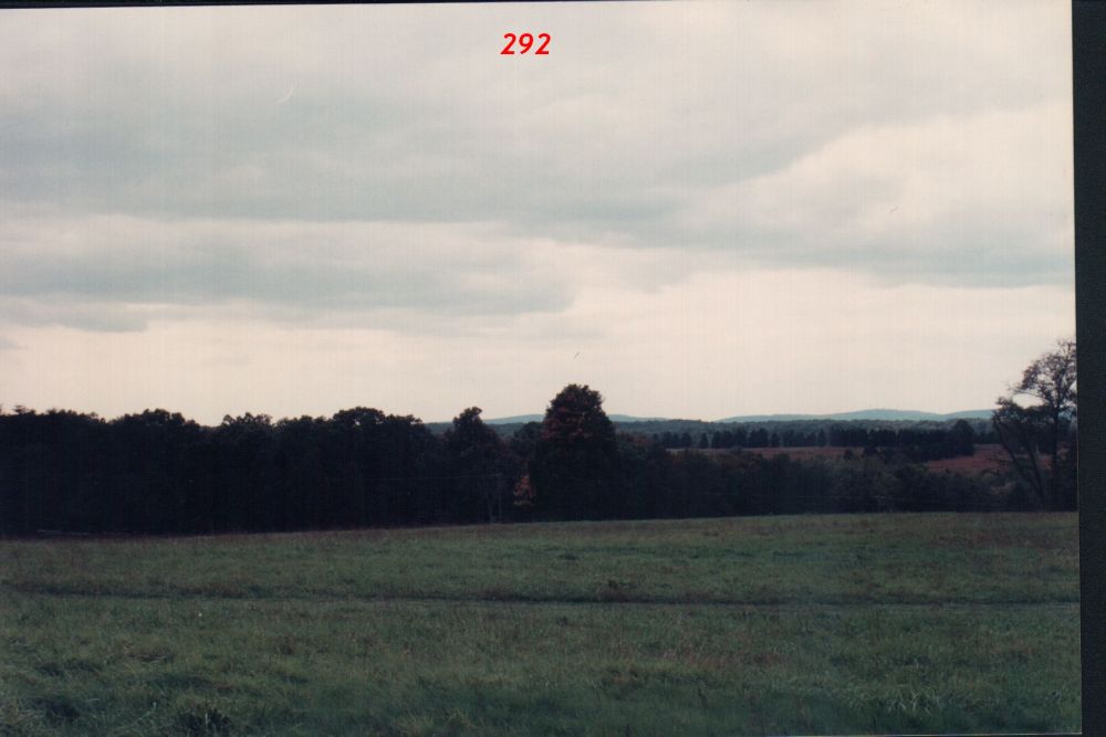 c7.jpg