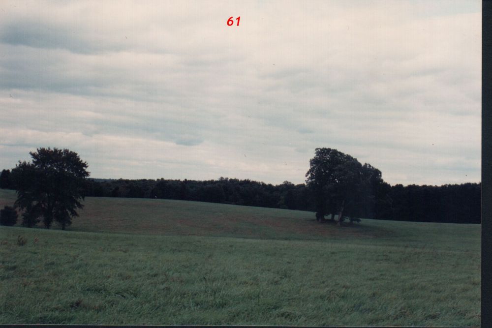 d1.jpg