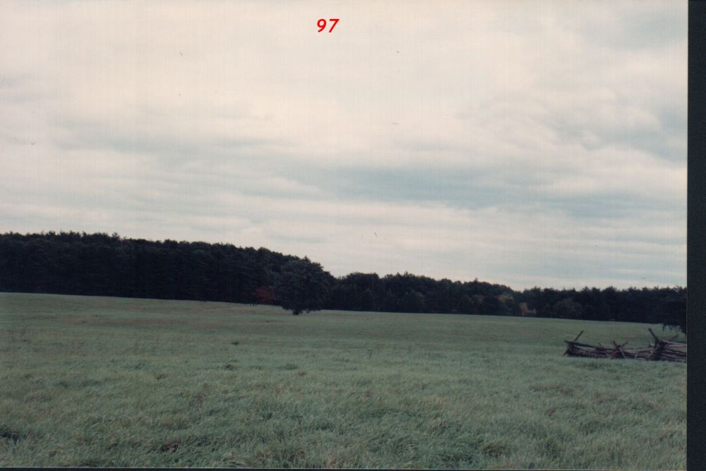 d2.jpg