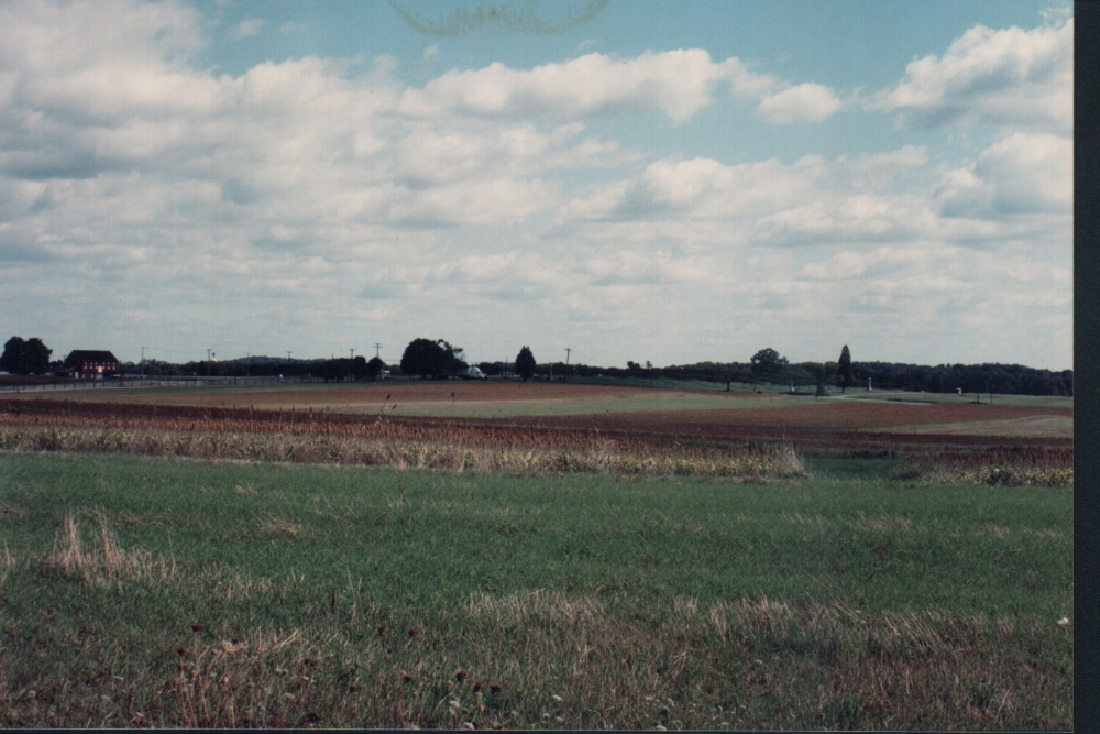 m2.jpg