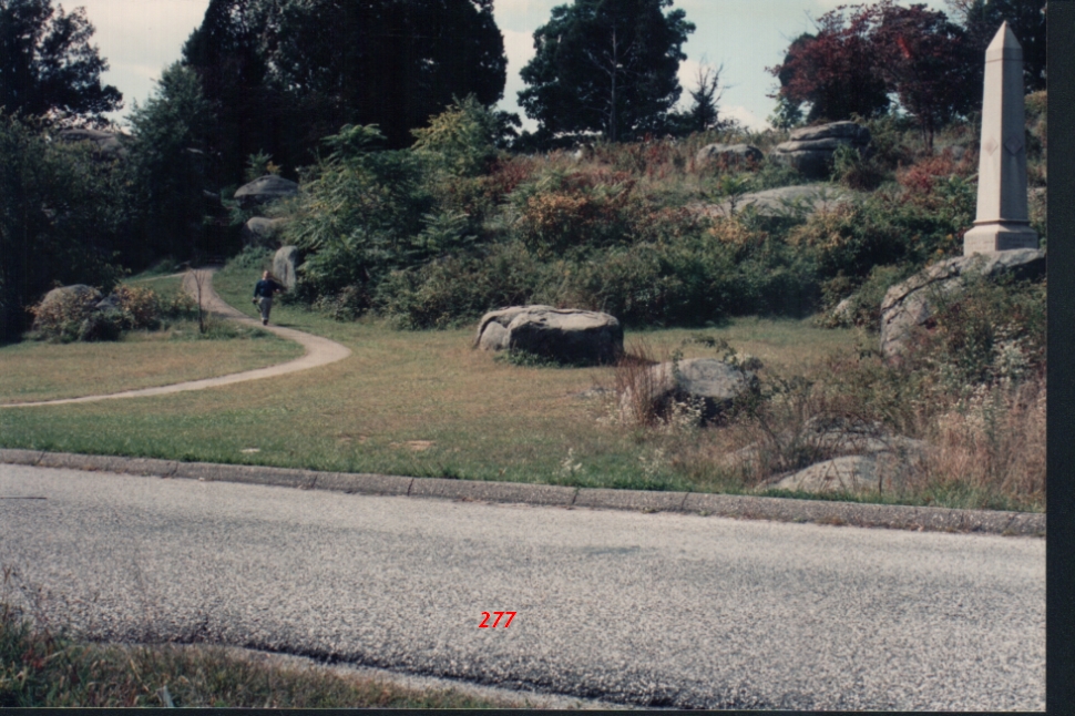 d7.jpg
