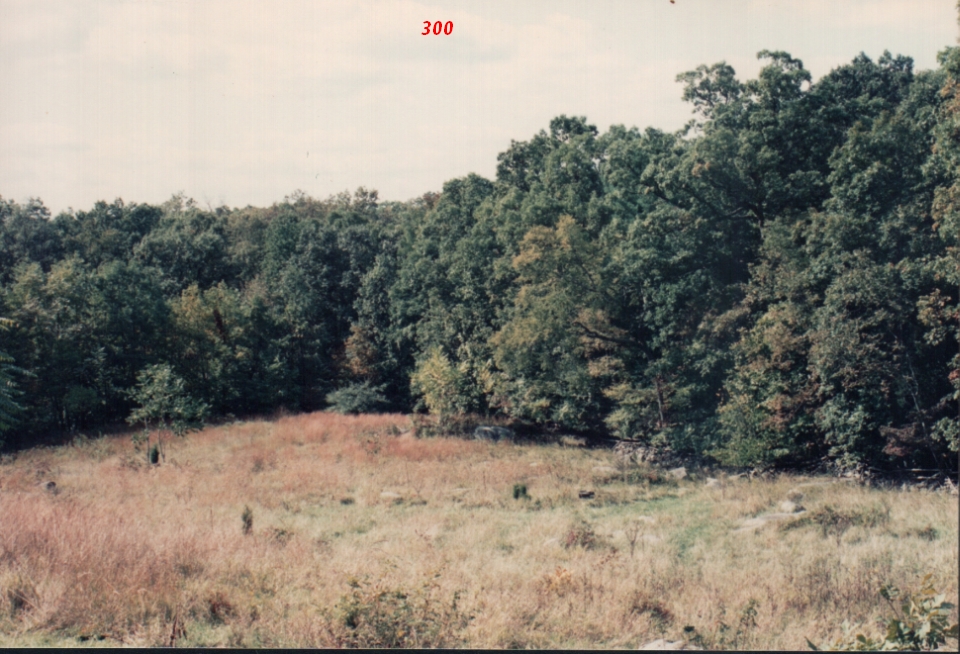e6.jpg