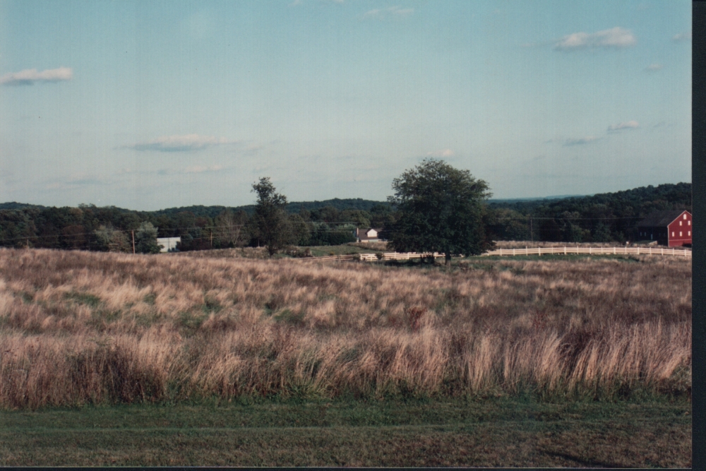 a9i.jpg
