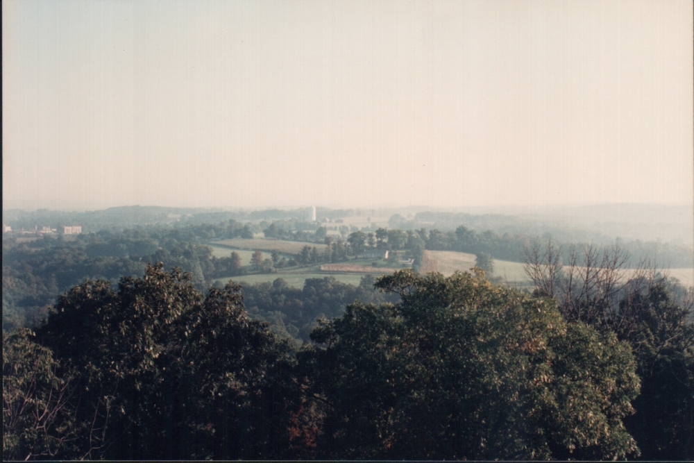 ct7.jpg