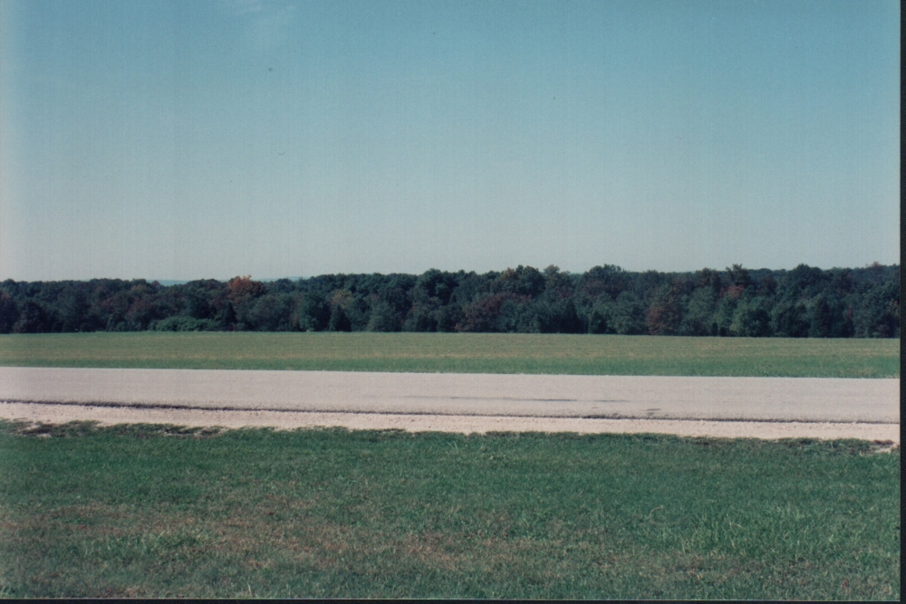n6.jpg