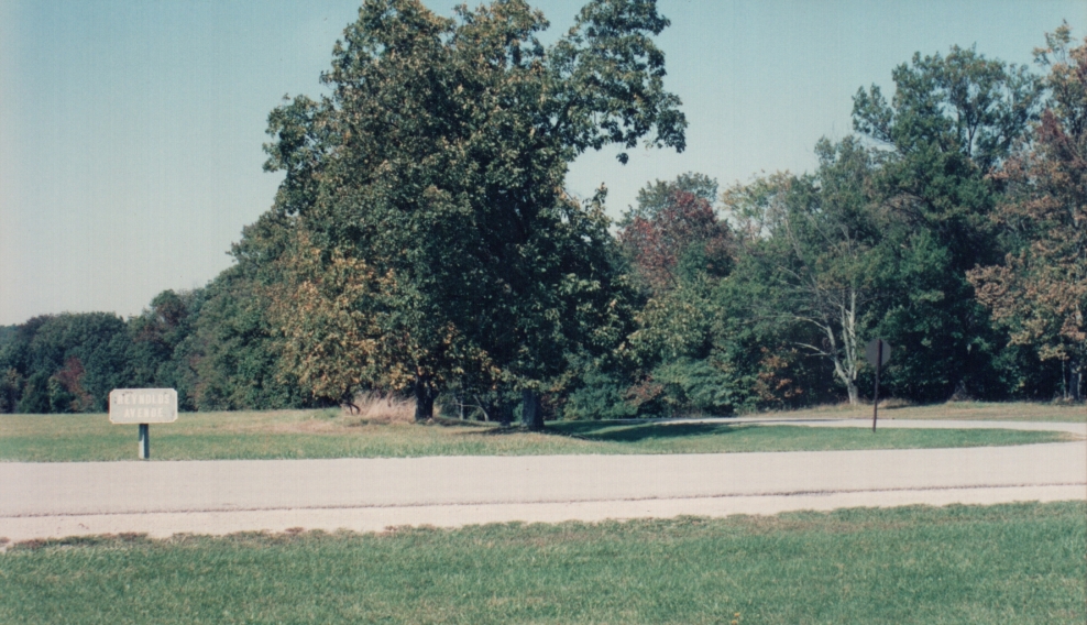 n7.jpg