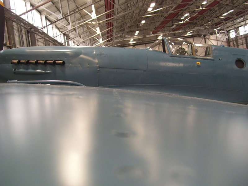 Wingtip.jpg