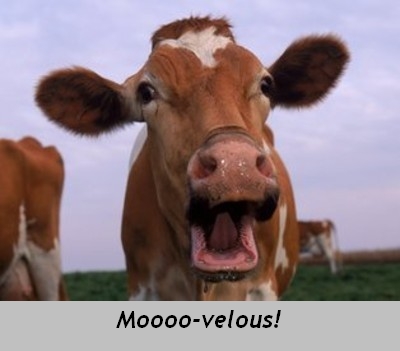 mooovelous.jpg