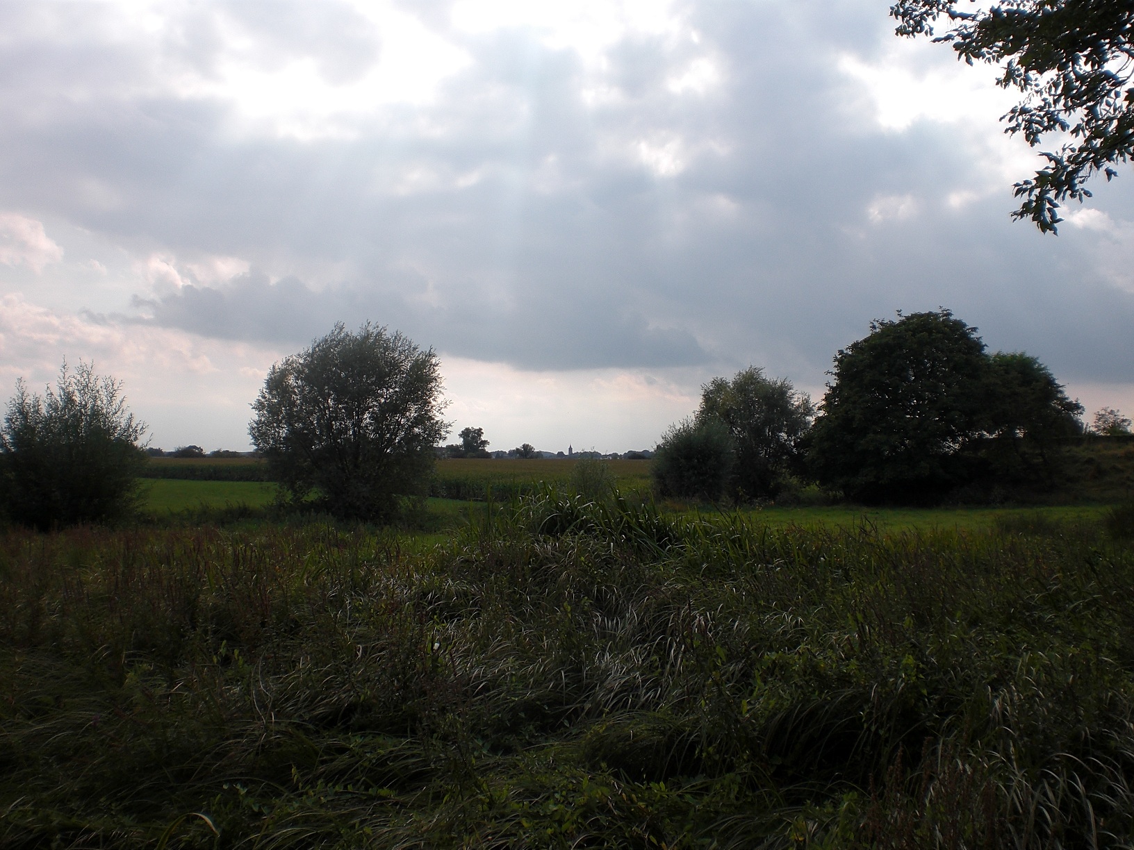 Driel_churchtower.jpg