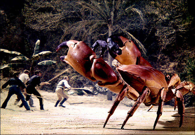 MYSTERIOUSCRAB.jpg