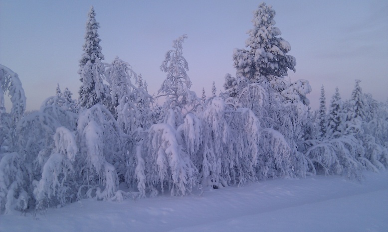 IMAG0351.jpg