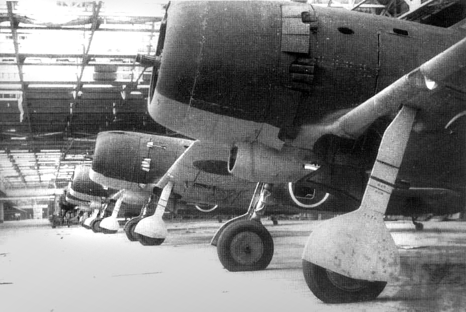 Ki8428.jpg