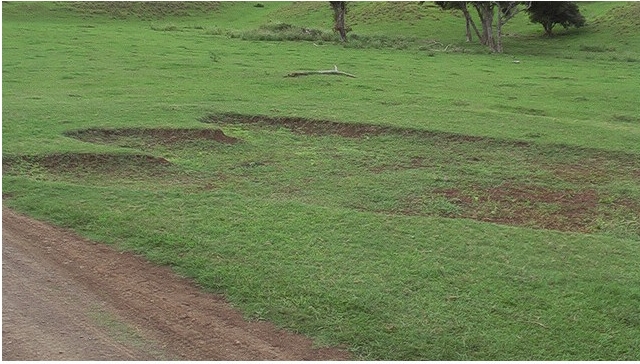 godzillafootprint.jpg