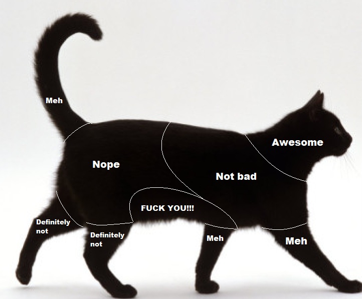 PettingZo..forcats.jpg