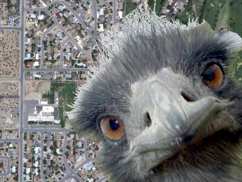 satelliteEmu.jpg