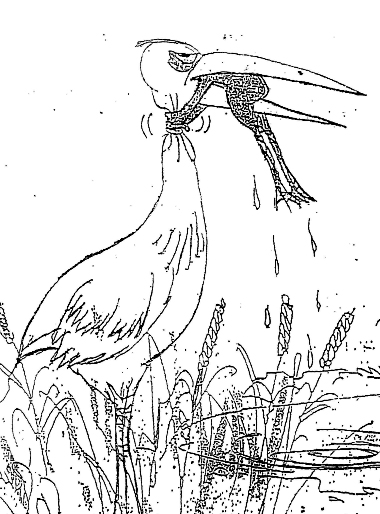 stork.jpg