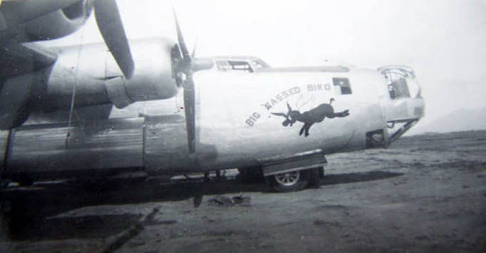 7621853.jpg