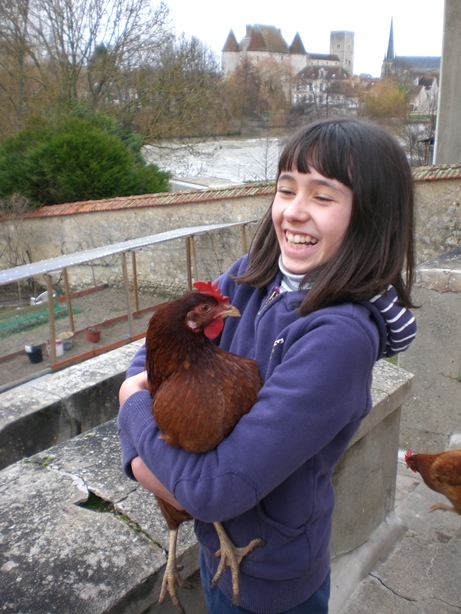 hens.jpg