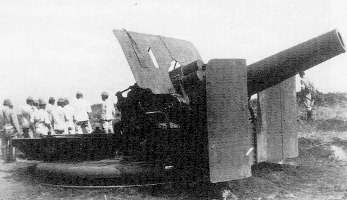 24cm.jpg