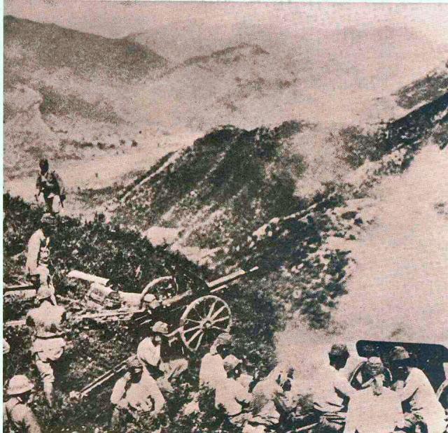 Jap_75mm_c.._640x619.jpg