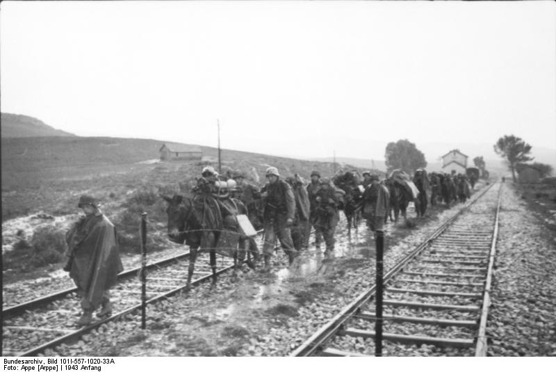 Bundesarch..m_Marsch.jpg