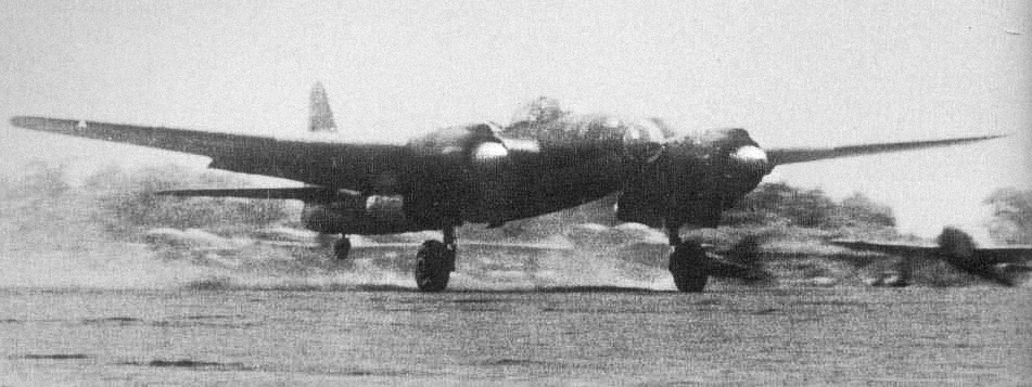 P1Y50.jpg