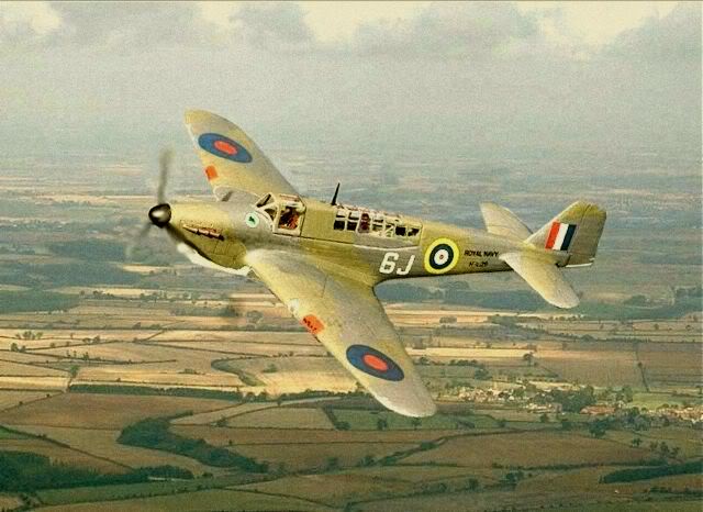 Fulmar2.jpg