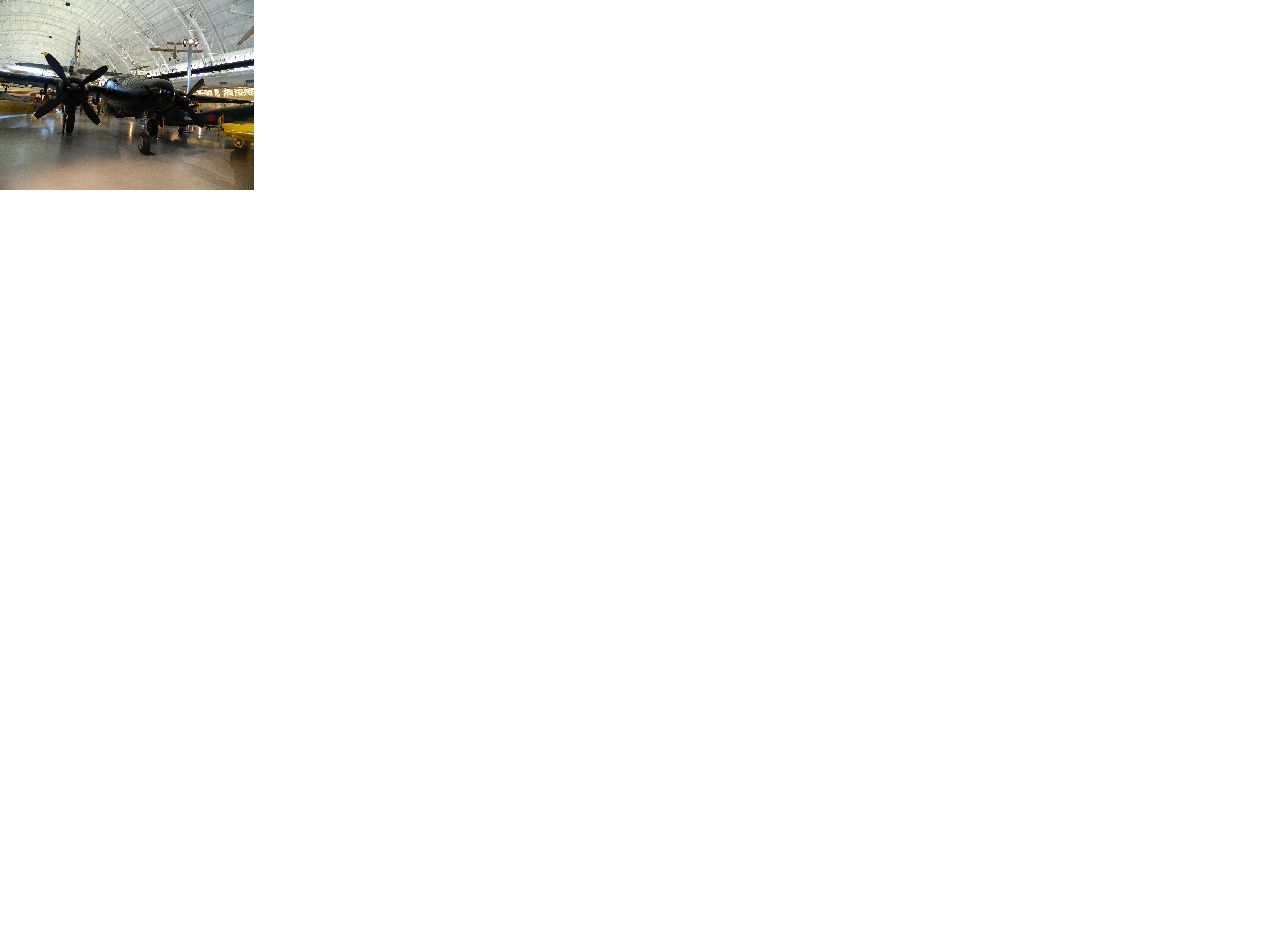 nightfighter.jpg