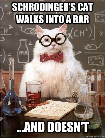 chemcat_shrodinger.jpg