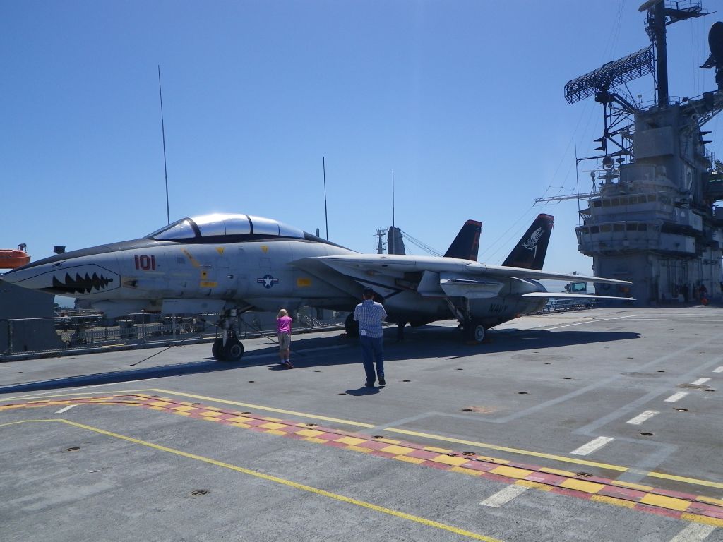 F14.jpg
