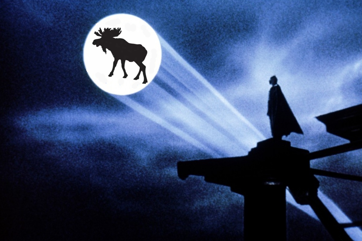 moose.jpg